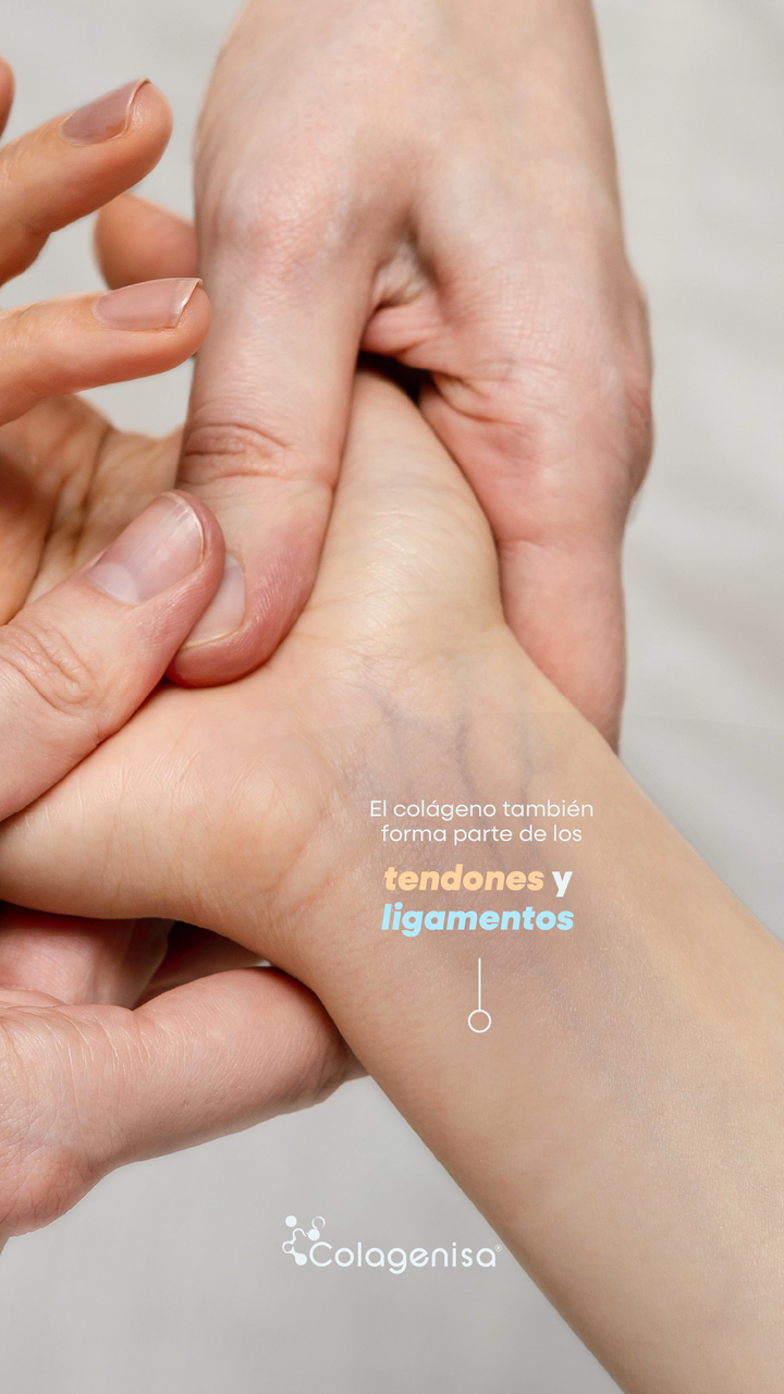 COLÁGENO HIDROLIZADO  BOVINO