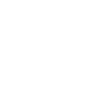 Colágeno Hidrolizado